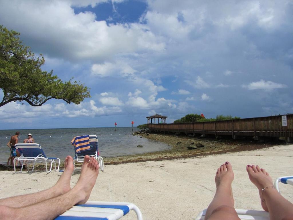 Tropical Daze Oceanfront Paradise Tavernier Εξωτερικό φωτογραφία