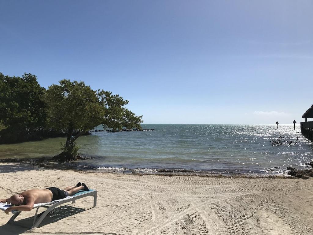 Tropical Daze Oceanfront Paradise Tavernier Εξωτερικό φωτογραφία
