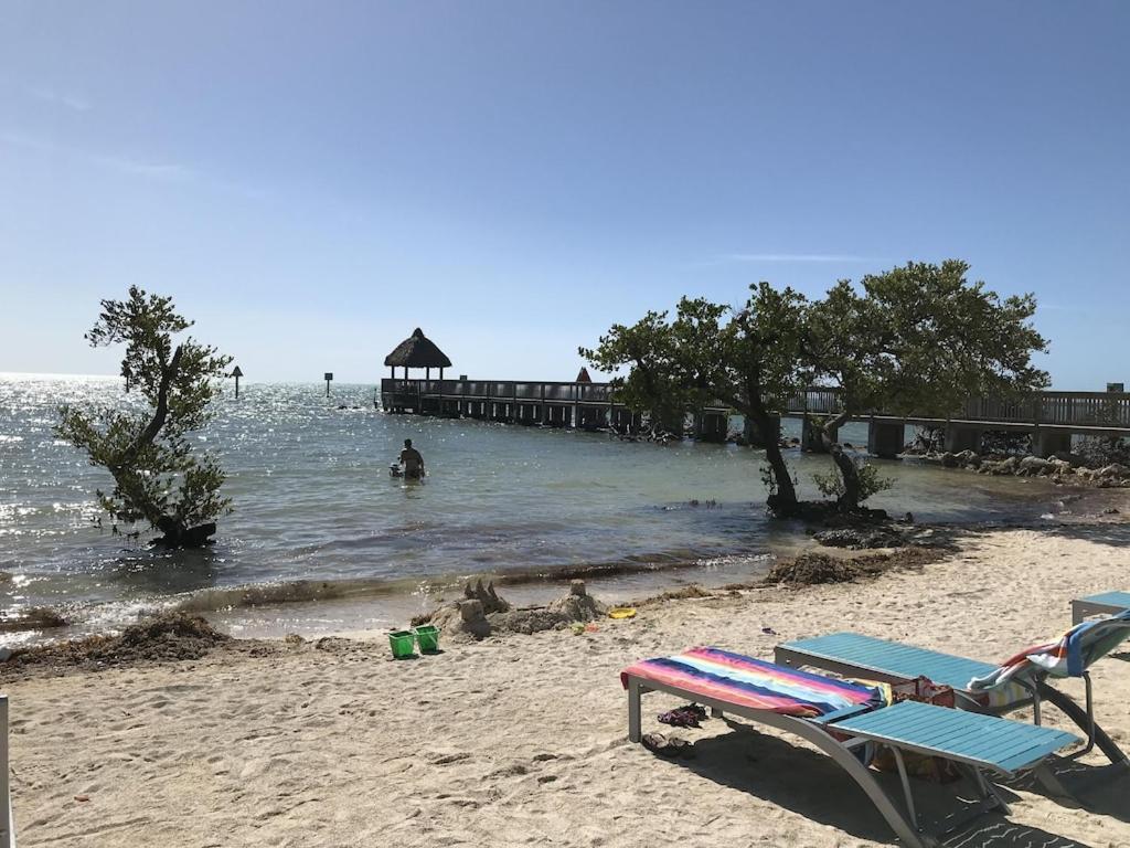 Tropical Daze Oceanfront Paradise Tavernier Εξωτερικό φωτογραφία