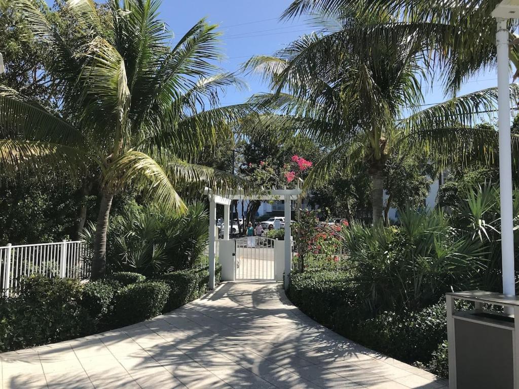 Tropical Daze Oceanfront Paradise Tavernier Εξωτερικό φωτογραφία